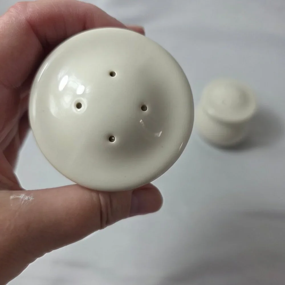 Pfaltzgraff Juniper Salt & Pepper Shakers Ivory with Mauve and Green Bands